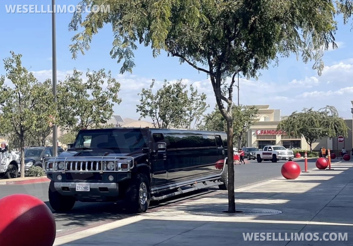 Photo of Limousine for sale: 2008 Hummer H2 200" by Coach Works