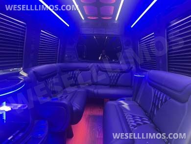2026 Grech Mercedes-Benz Limo Sprinter - Sprinter for Sale in Pasadena, Maryland, United States - Photo 10