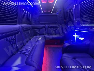 2026 Grech Mercedes-Benz Limo Sprinter - Sprinter for Sale in Pasadena, Maryland, United States - Photo 12