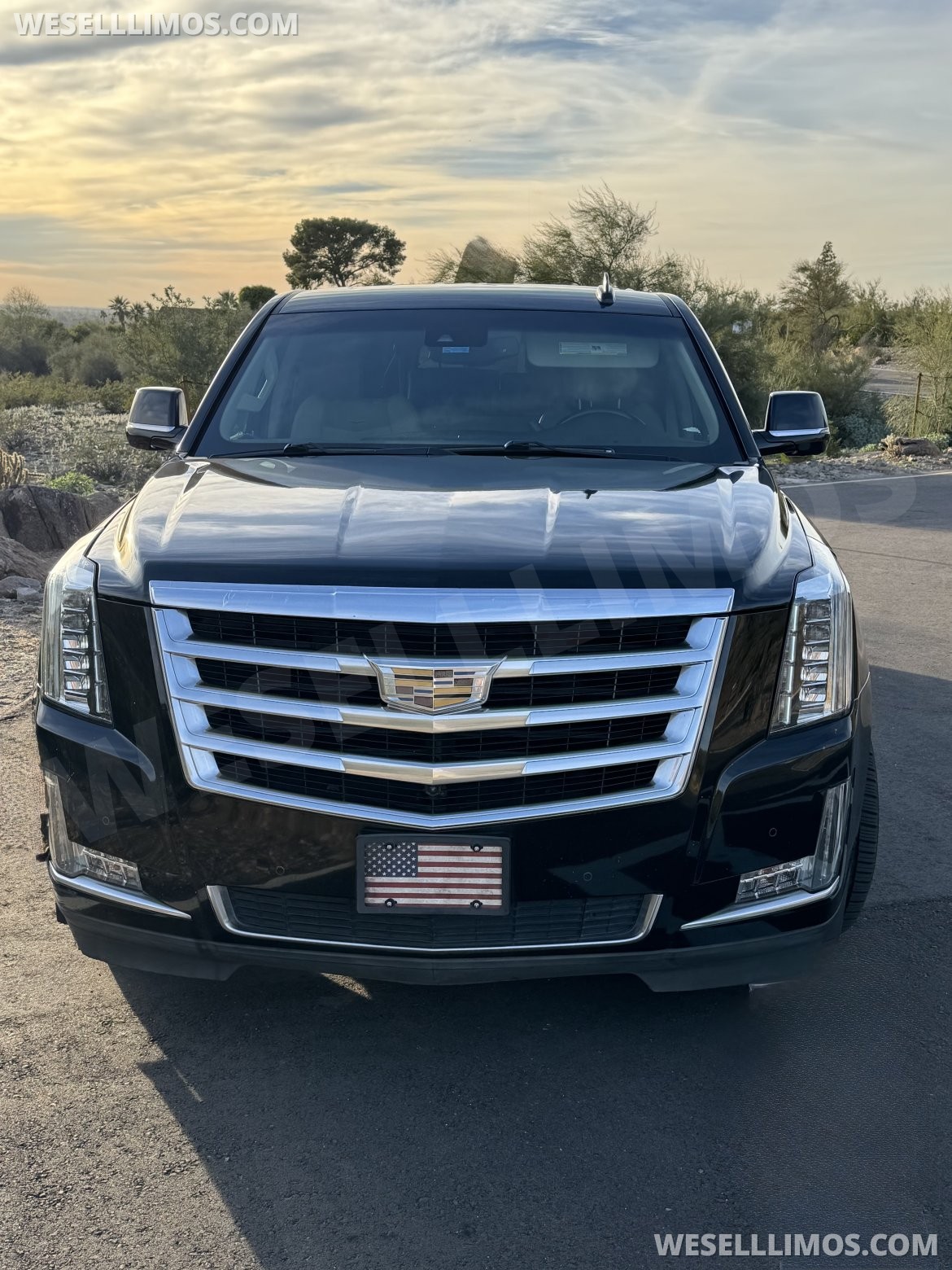 Photo of SUV Stretch for sale: 2017 Cadillac Escalade ESV 4WD Luxury 40" by LCW