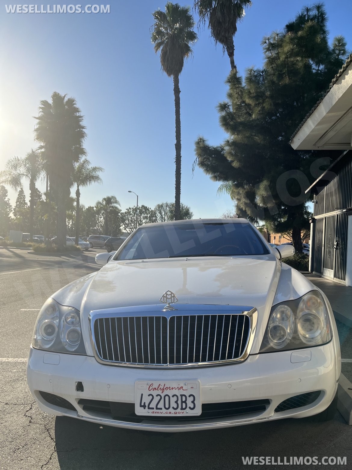 Limousine for sale: 2004 Maybach Maybach 57