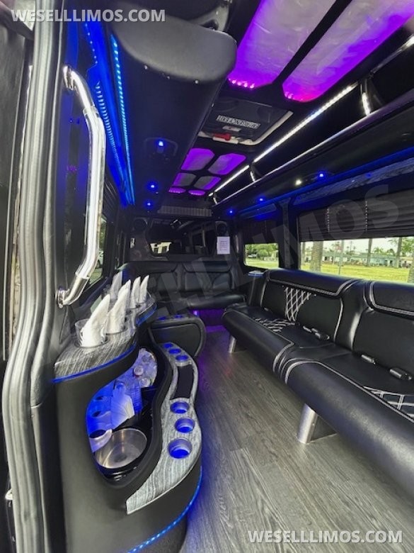 2017 Grech Mercedes-Benz Sprinter Limo Party Bus