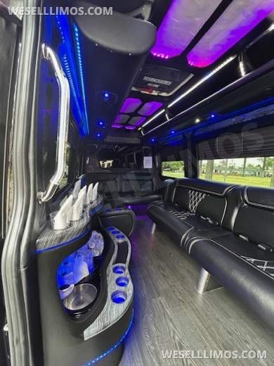 2017 Grech Mercedes-Benz Sprinter Limo Party Bus