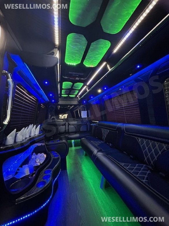 2017 Grech Mercedes-Benz Sprinter Limo Party Bus