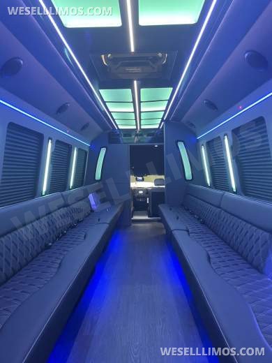 LGE Coachworks F550 Limo Bus 29+ Passengers