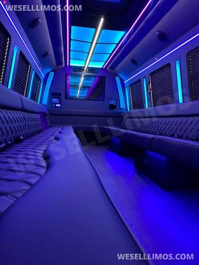 LGE Coachworks F550 Limo Bus 29+ Passengers