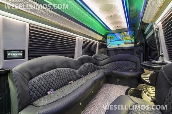2025 170 Sprinter Limo Interior