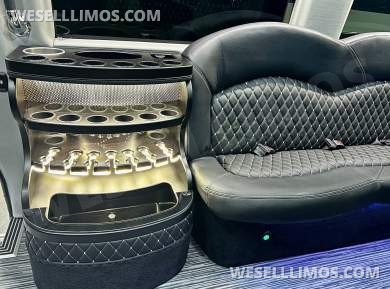 2025 170 Sprinter Limo Interior