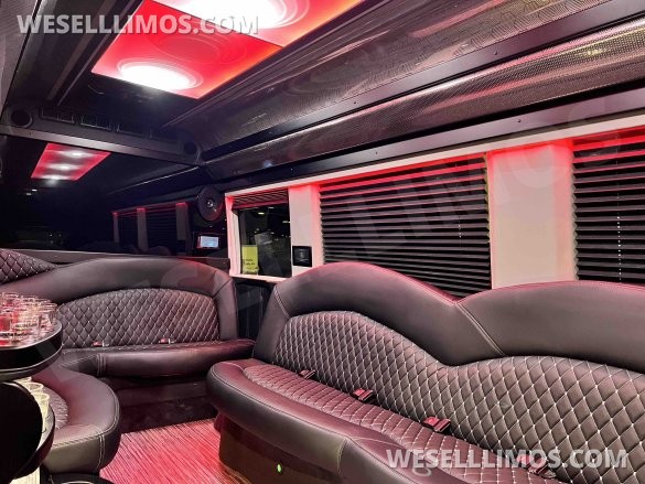2025 170 Sprinter Limo Interior