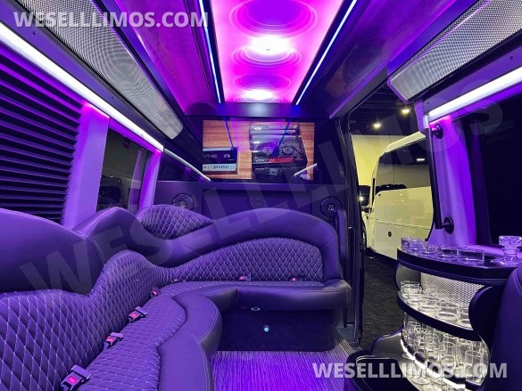 2025 170 Sprinter Limo Interior