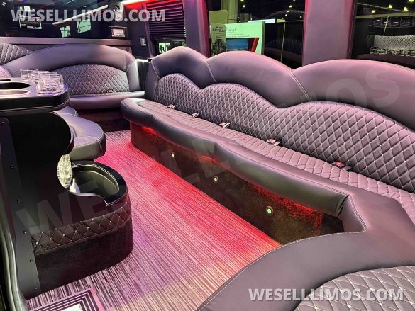 2025 170 Sprinter Limo Interior