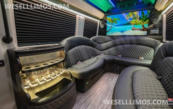 2025 170 Sprinter Limo Interior