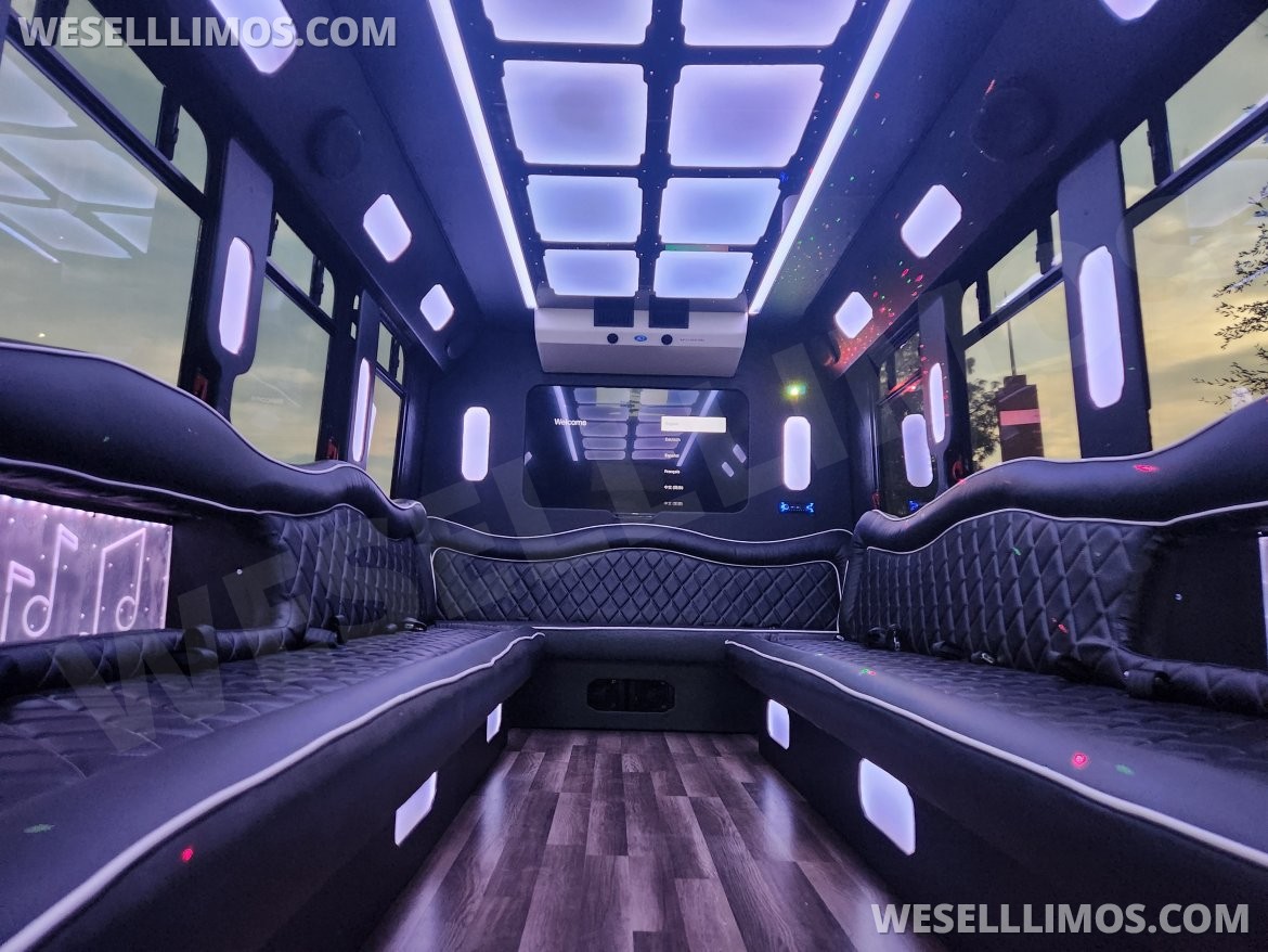 Limo Bus for sale: 2014 Ford E450 by Jacks Wholesale Division