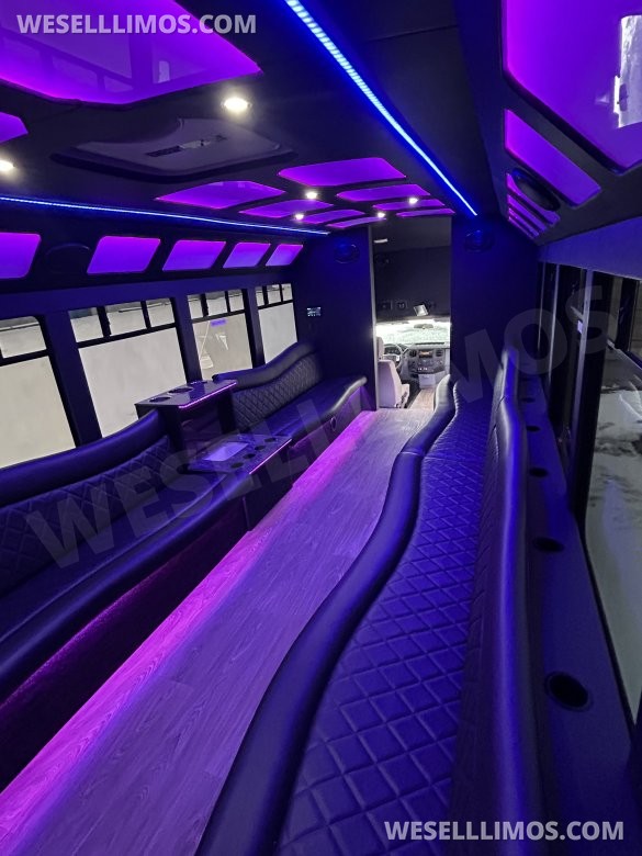 2015 Ford F-550 Limo Bus for Sale in Fraser, MI - Photo 3