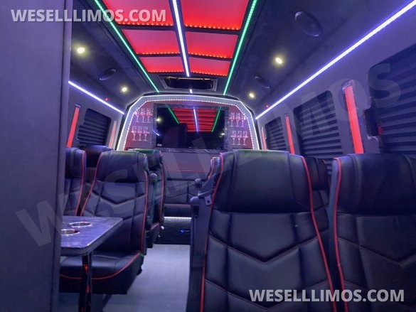 2019 Ford E450 Limo Bus for Sale in Peachtree City, GA - Photo 2