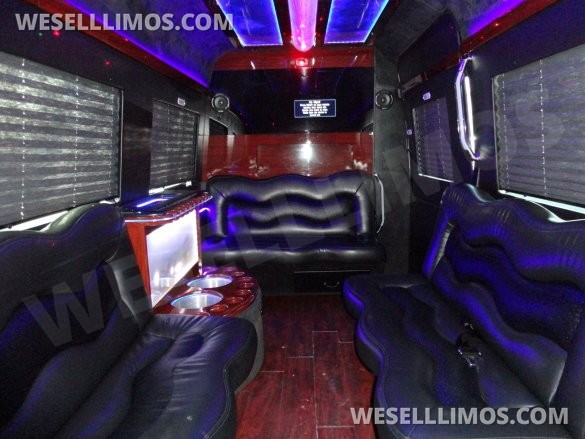 2016 Limoland Springfield Coachbuilders Mercedes-Benz Sprinter 2500  Sprinter