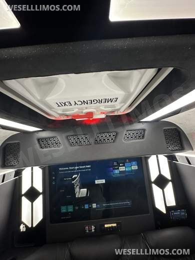 14 Passenger. Crazy light show.  Mercedes-Benz Sprinter Limo style