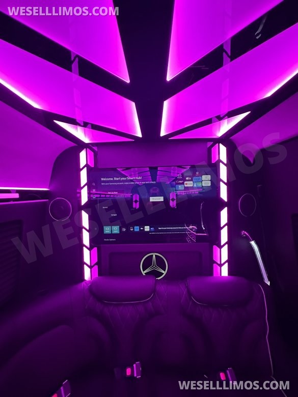 14 Passenger. Crazy light show.  Mercedes-Benz Sprinter Limo style