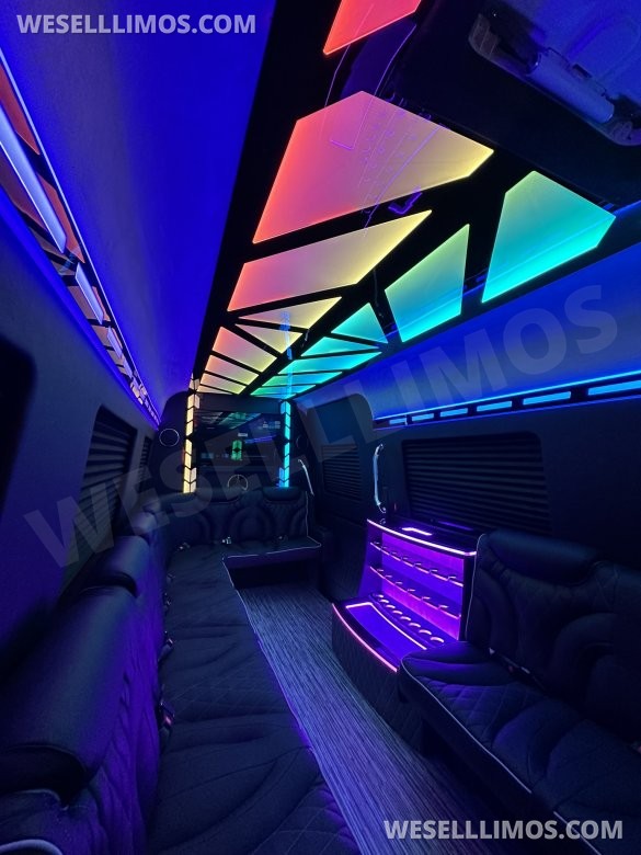 14 Passenger. Crazy light show.  Mercedes-Benz Sprinter Limo style