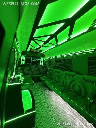 14 Passenger. Crazy light show.  Mercedes-Benz Sprinter Limo style