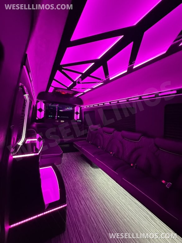 14 Passenger. Crazy light show.  Mercedes-Benz Sprinter Limo style