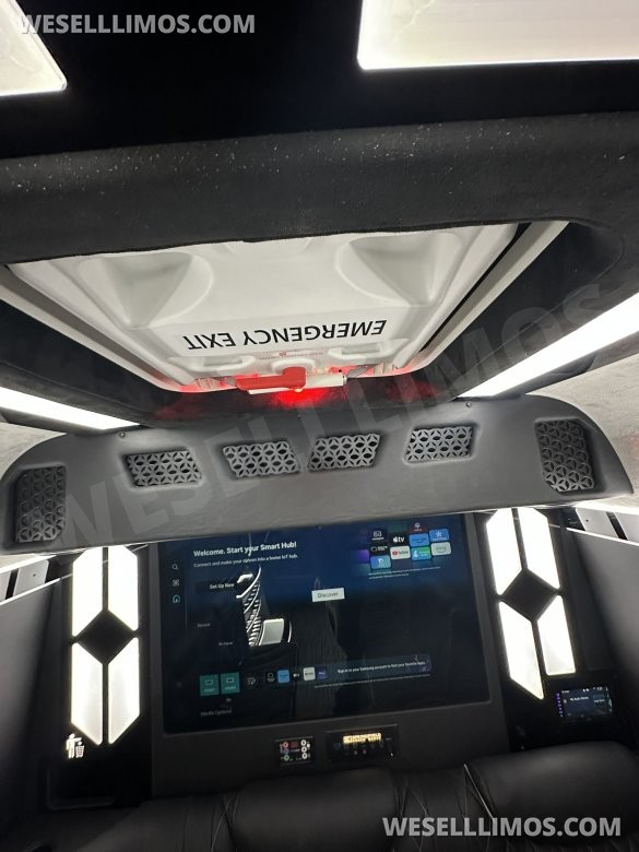 Wild Light Show 14 passenger Limousine Style  LimoLand  Mercedes-Benz Sprinter