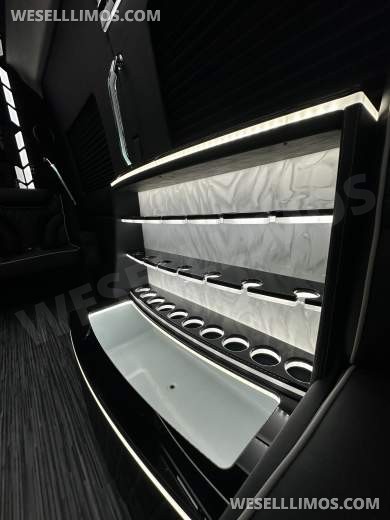 Wild Light Show 14 passenger Limousine Style  LimoLand  Mercedes-Benz Sprinter