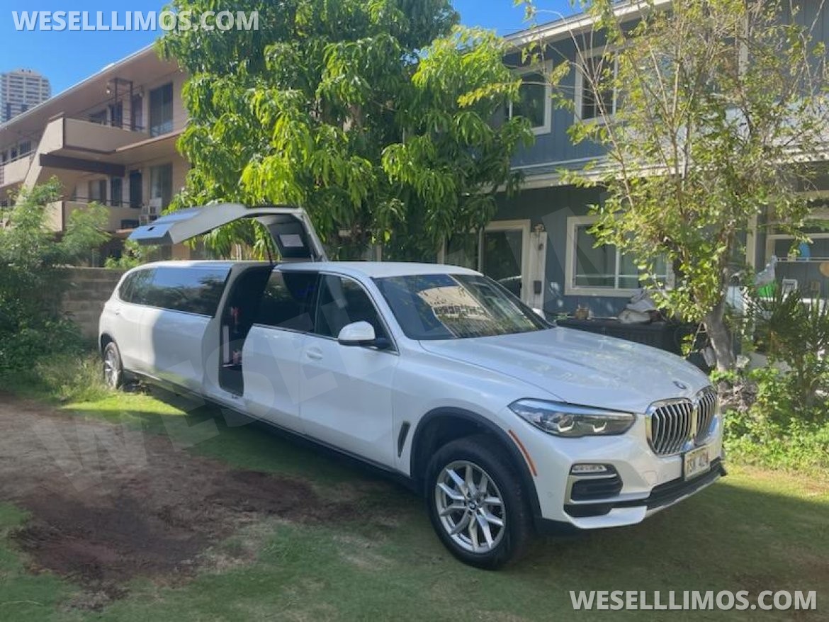 2019 BMW X5 suv stretch - Photo 4