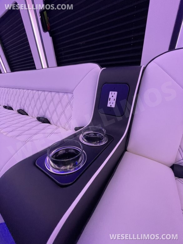 35 Passenger Party Bus by LGE Coachworks