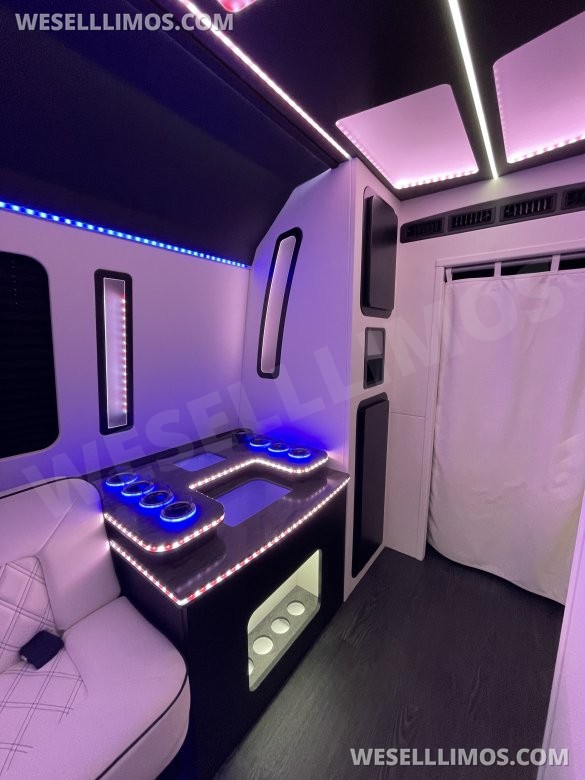 35 Passenger Party Bus by LGE Coachworks