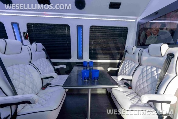 2025 LGE Coachworks  Ford F600 Luxury Limo Bus