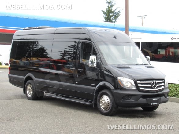 2015 Grech Mercedes-Benz Sprinter Limo Van