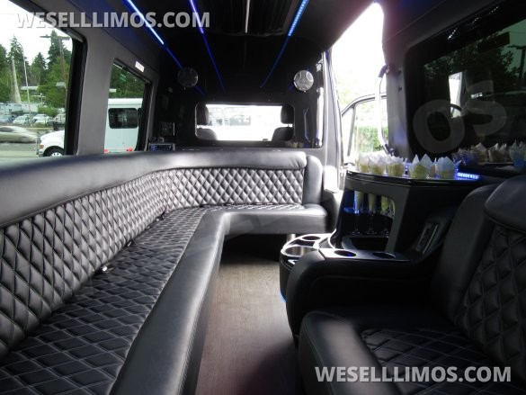 2015 Grech Mercedes-Benz Sprinter Limo Van