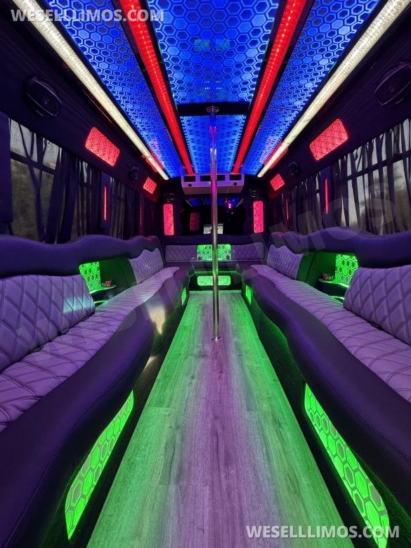 2017 Ford E-450 Limo Party Bus 20 passenger