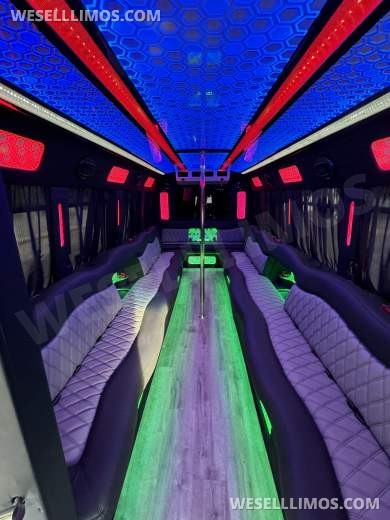 2017 Ford E-450 Limo Party Bus 20 passenger