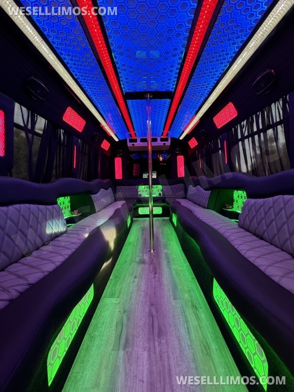 2017 Ford E-450 Limo Party Bus 20 passenger