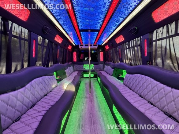 2017 Ford E-450 Limo Party Bus 20 passenger