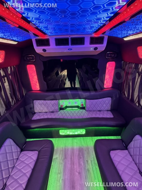 2017 Ford E-450 Limo Party Bus 20 passenger
