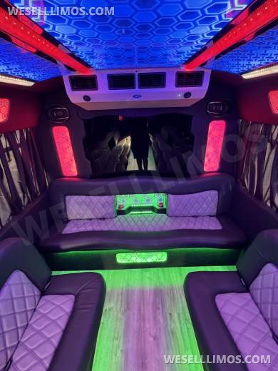 2017 Ford E-450 Limo Party Bus 20 passenger