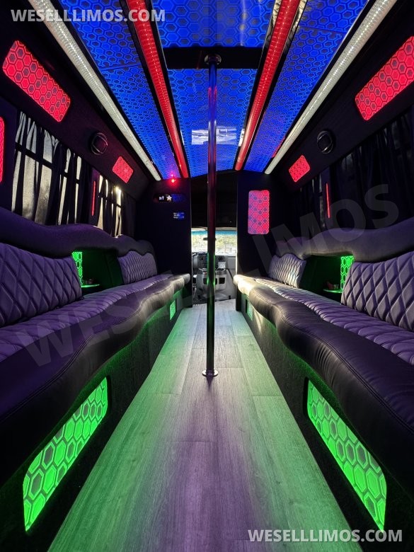 2017 Ford E-450 Limo Party Bus 20 passenger