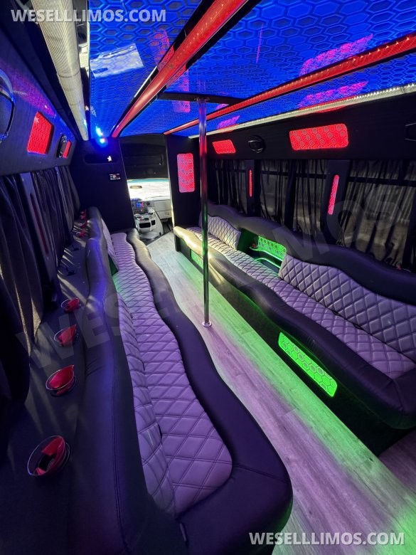 2017 Ford E-450 Limo Party Bus 20 passenger