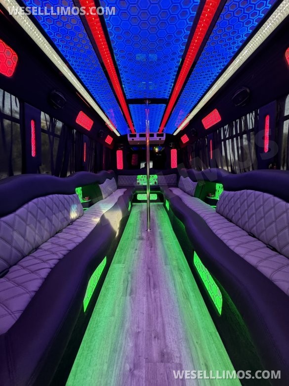 2017 Ford E-450 Limo Party Bus 20 passenger