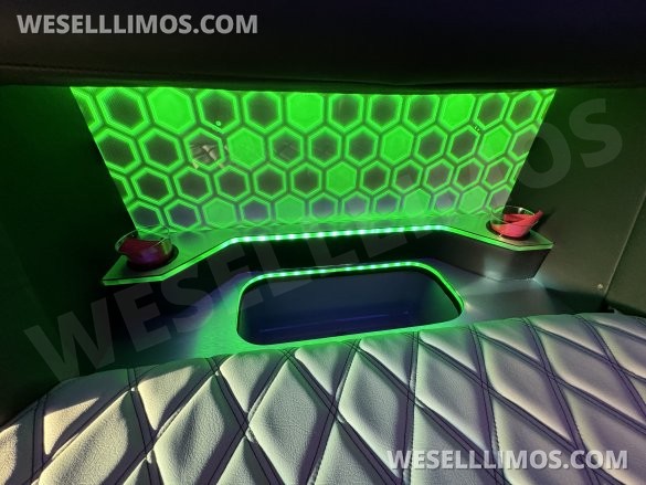 2017 Ford E-450 Limo Party Bus 20 passenger