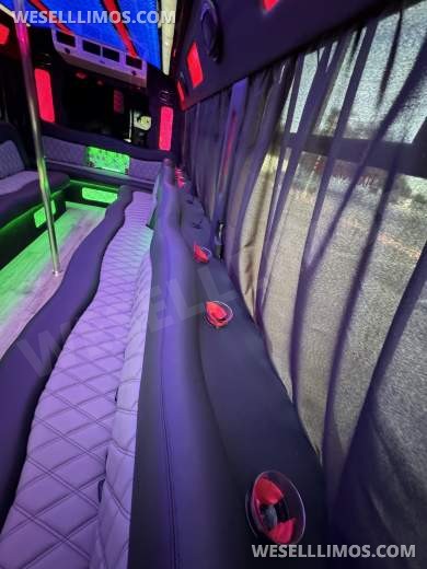 2017 Ford E-450 Limo Party Bus 20 passenger