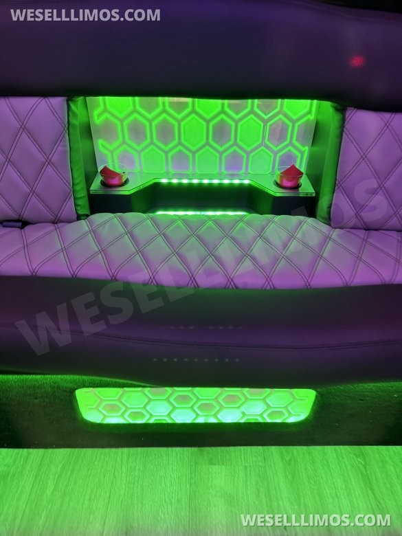 2017 Ford E-450 Limo Party Bus 20 passenger