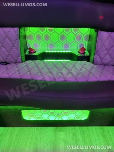 2017 Ford E-450 Limo Party Bus 20 passenger