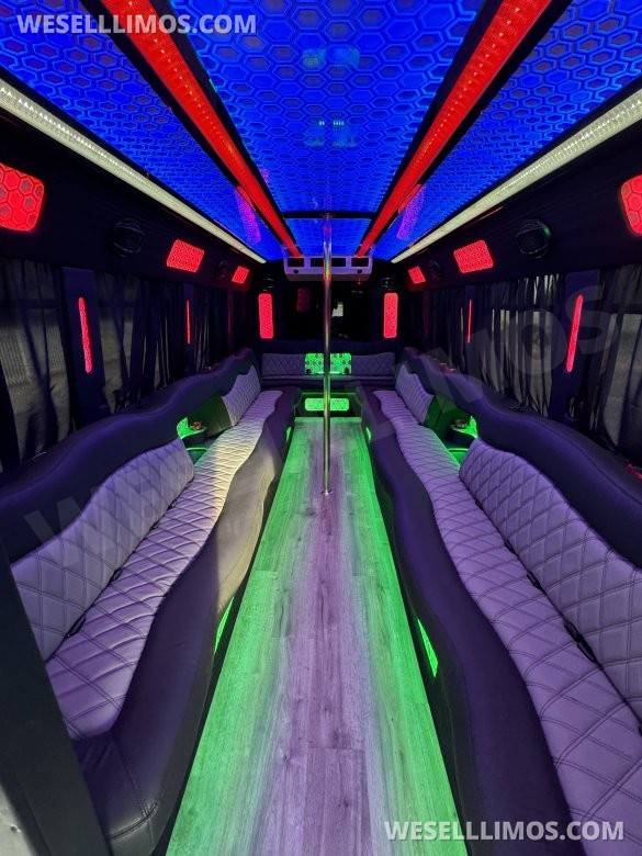 2017 Ford E-450 Limo Party Bus 20 passenger