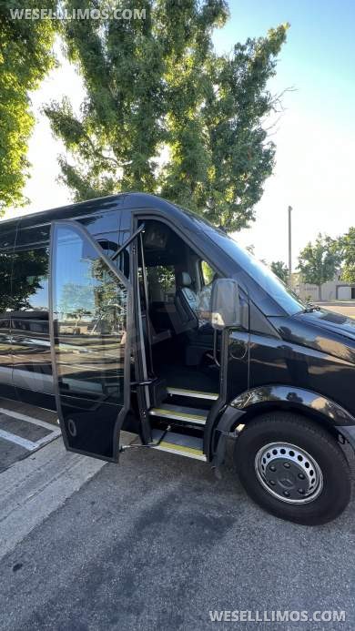 2014 McSweeney Mercedes-Benz Sprinter 3500 Sprinter