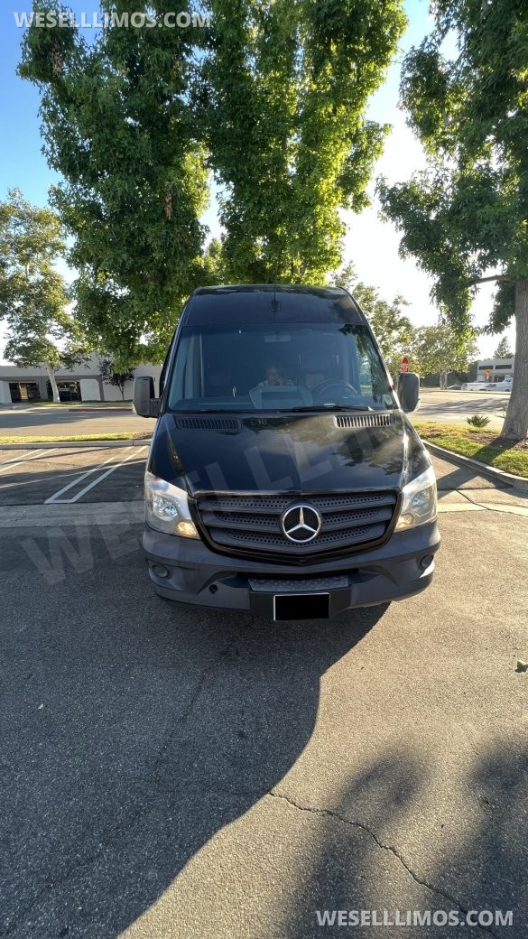 2014 McSweeney Mercedes-Benz Sprinter 3500 Sprinter