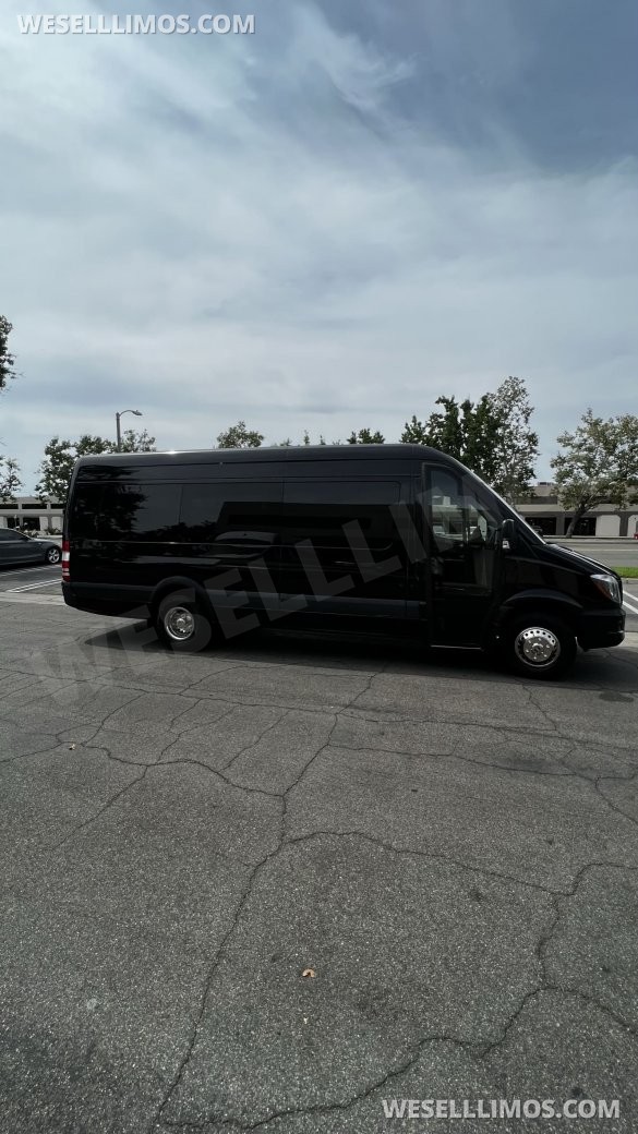 2014 McSweeney Mercedes-Benz Sprinter 3500 Sprinter